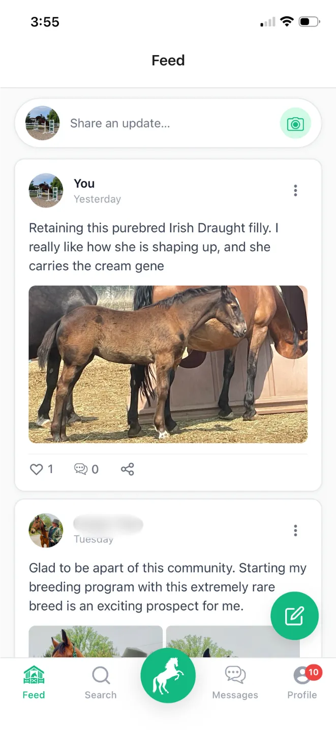 Newsfeed and notifications