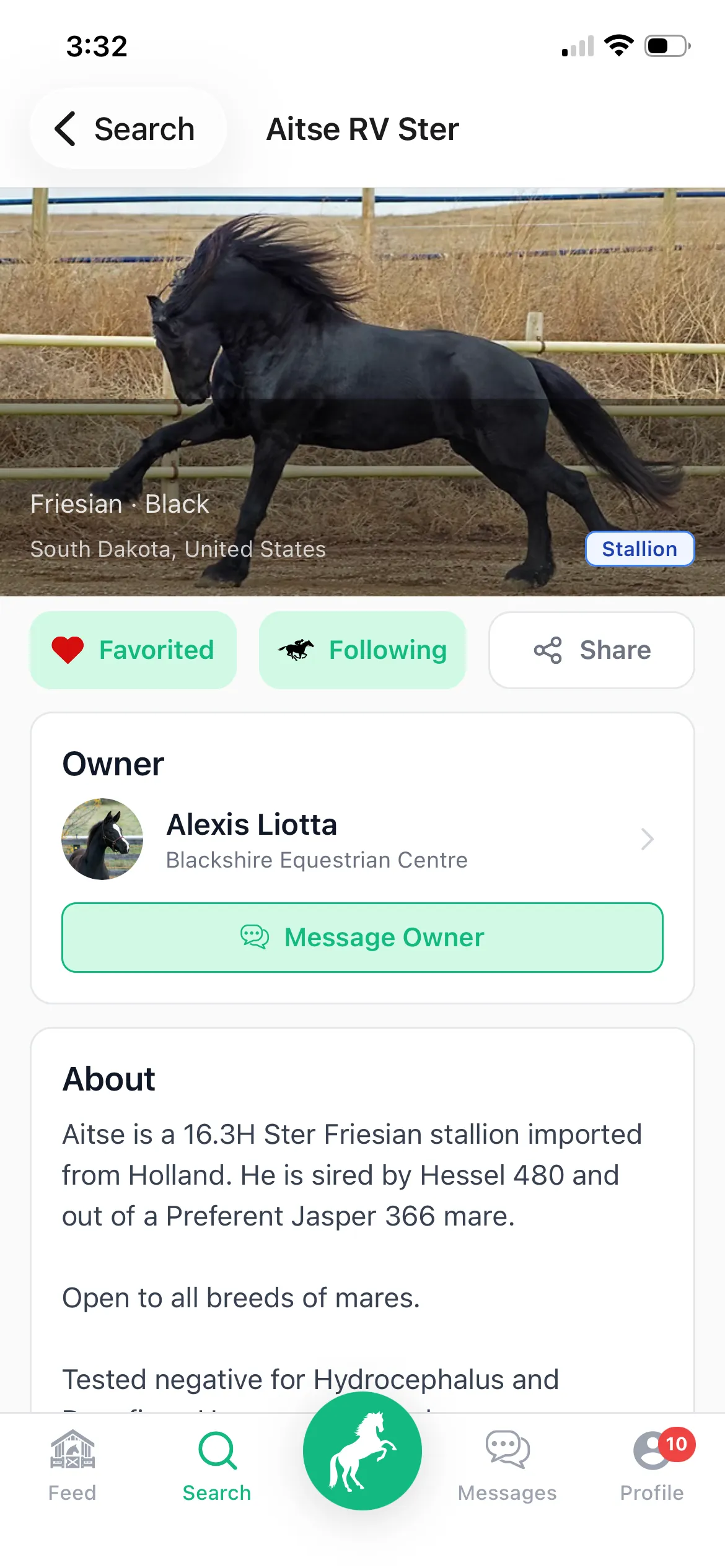 Newsfeed of followed horses